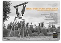 Cover: WHAT DOES PEACE LOOK LIKE? - Edition Lammerhuber