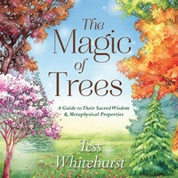 Enlarge image Cover: The Magic of Trees - Llewellyn Publications