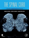Cover: The Spinal Cord - Academic Press