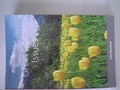 Cover: Great Gospel Issues - Lulu.com