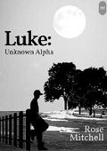 Cover: Luke: - Jem Stone Publications