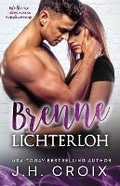 Cover: Into The Fire Alaska - Frisky Fox Publishing, LLC