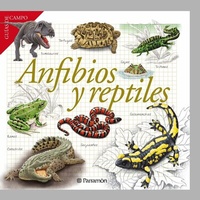 Abbildung von: Anfibios y reptiles - PARRAMóN PAIDOTRIBO