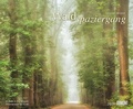 Cover: Kal. 2024 Waldspaziergang - DuMont Buchverlag