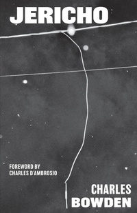 Enlarge image Cover: Jericho - University of Texas Press