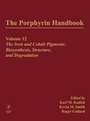 Cover: The Porphyrin Handbook - Academic Press