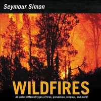 Enlarge image Cover: Wildfires - HarperCollins