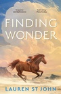 Cover: Finding Wonder - Faber & Faber