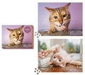 Cover: Cats on Catnip 2-in-1 Double-Sided 1,000-Piece Puzzle - Running Press Adult