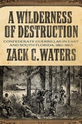 Cover: A Wilderness of Destruction - Mercer University Press