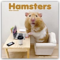 Abbildung von: Hamsters - Hamster 2024 - 16-Monatskalender - Avonside Publishing Ltd