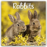Abbildung von: Rabbits - Kaninchen 2024 - 16-Monatskalender - Avonside Publishing Ltd