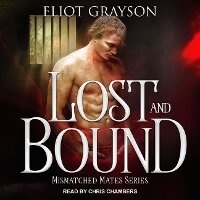 Enlarge image Cover: Lost and Bound - Tantor Audio