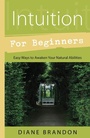 Cover: Intuition for Beginners - Llewellyn Publications