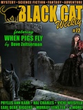 Cover: Black Cat Weekly #72 - Wildside Press