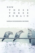 Cover: Now These Three Remain - Lily Poetry Review