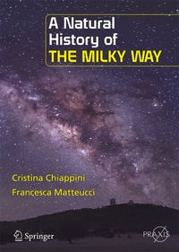 Abbildung von: A Natural History of the Milky Way - Springer