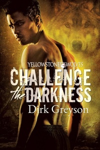 Enlarge image Cover: Challenge the Darkness - Dreamspinner Press