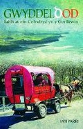 Cover: Gwyddeldod: Taith at ein Cefndryd yn y Gorllewin - Gwasg Carreg Gwalch