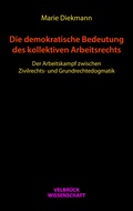 Cover: Die demokratische Bedeutung des kollektiven Arbeitsrechts - Velbr&uuml;ck