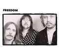 Cover: Freedom - Integral