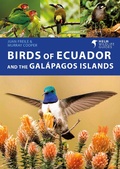 Abbildung von: Birds of Ecuador and the Galapagos Islands - Helm