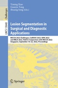 Cover: Lesion Segmentation in Surgical and Diagnostic Applications - Springer