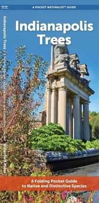 Enlarge image Cover: Indianapolis Trees - Waterford Press Ltd