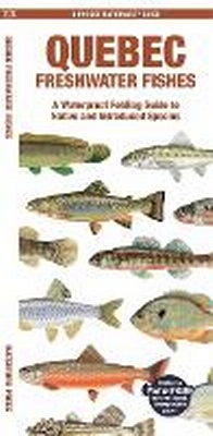 Abbildung von: Quebec Freshwater Fishes - Waterford Press Ltd