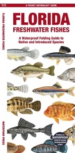 Cover: Florida Freshwater Fishes - Waterford Press Ltd