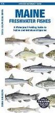 Cover: Maine Freshwater Fishes - Waterford Press Ltd