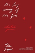 Cover: The Long Coming of the Fire - Deep Vellum Publishing