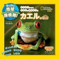 Cover: Explore My World: Frogs - Mdn Corporation