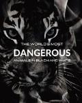 Cover: The World's most DANGEROUS ANIMALS in Black and White - Blurb Inc