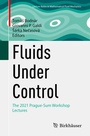 Cover: Fluids Under Control - Birkhäuser