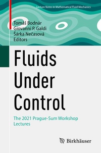 Enlarge image Cover: Fluids Under Control - Birkhäuser