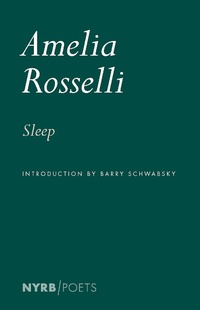 Enlarge image Cover: Sleep - New York Review Books