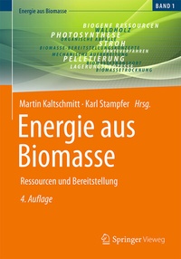 Abbildung von: Energie aus Biomasse - Springer Vieweg