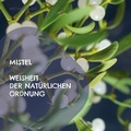 Cover: Mistel - Weisheit der nat&uuml;rlichen Ordnung - Books on Demand