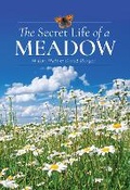 Cover: The Secret Life of a Meadow - White Owl