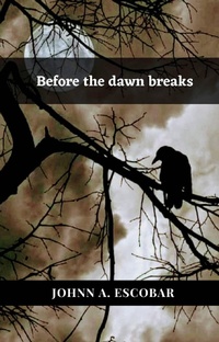 Enlarge image Cover: Before the dawn breaks - Babelcube Inc.