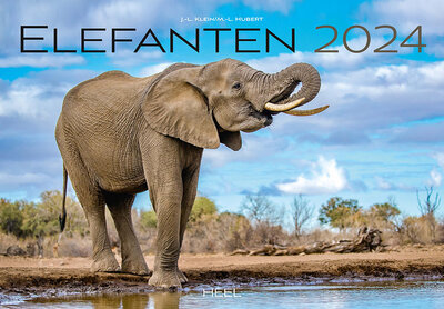 Abbildung von: Elefanten Kalender 2024 - Heel