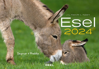 Abbildung von: Esel Kalender 2024 - Heel