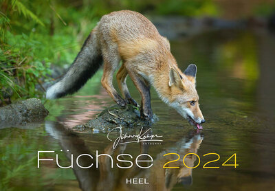 Abbildung von: Füchse Kalender 2024 - Heel