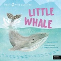 Cover: Little Whale - words & pictures