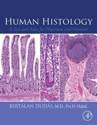 Abbildung von: Human Histology - Academic Press