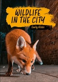 Cover: Reading Planet KS2: Wildlife in the City - Earth/Grey - Rising Stars UK Ltd