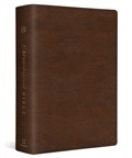 Cover: ESV Chronological Bible - Crossway Books