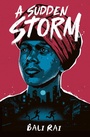 Cover: A Sudden Storm - Barrington Stoke Ltd
