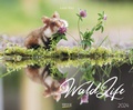 Cover: WaldLife 2024 - Korsch Verlag